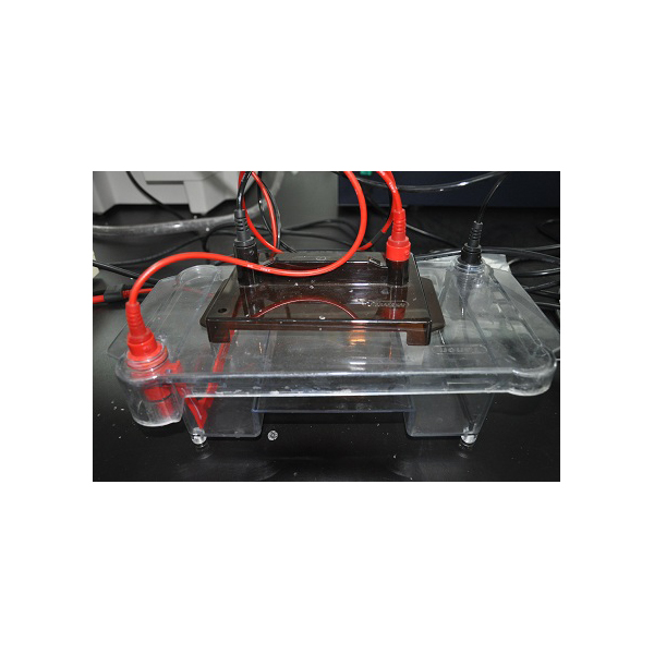 核酸蛋白电泳仪11