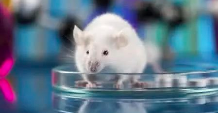 微信图片_20240218100020