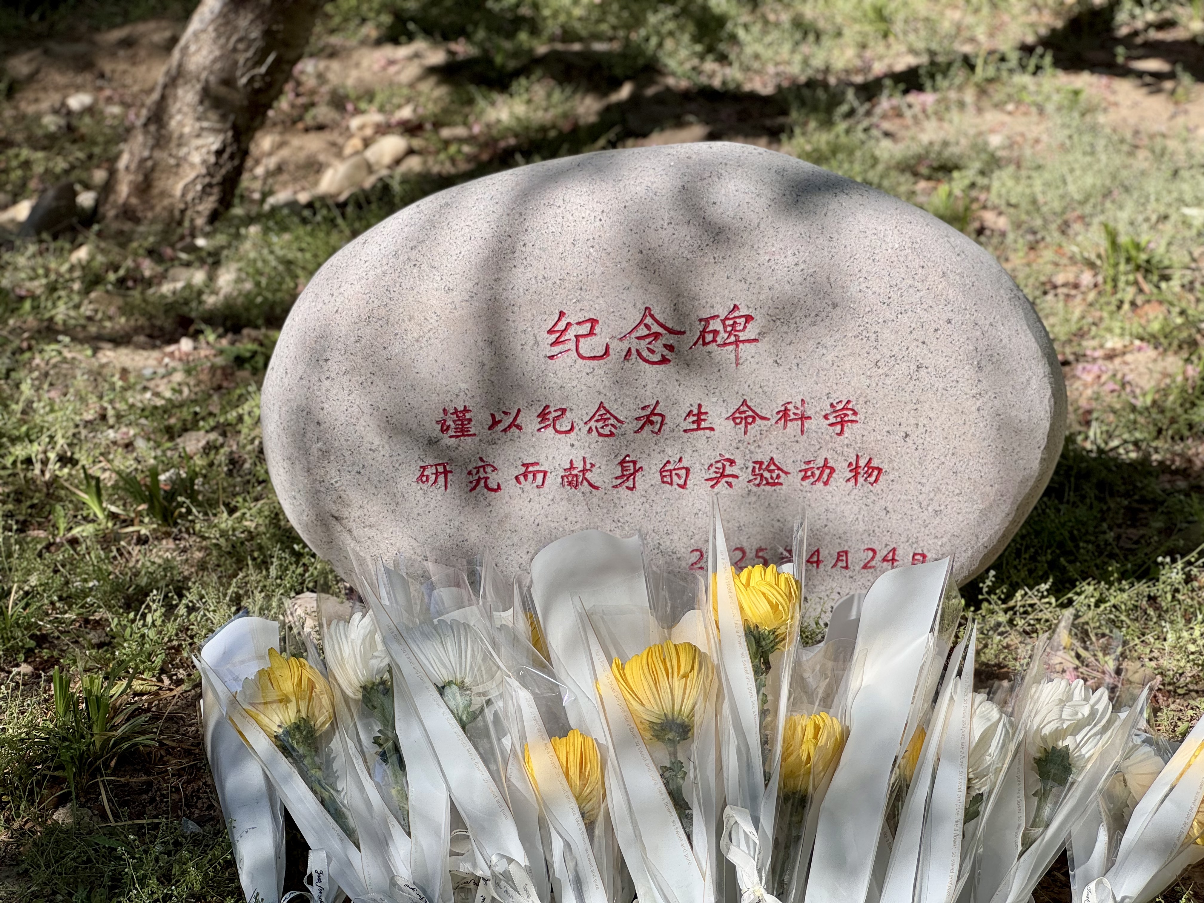 微信图片_20250424155107