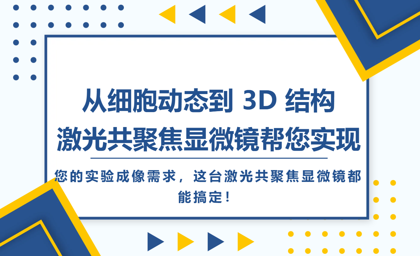 微信图片_2025-10-11_145539_619